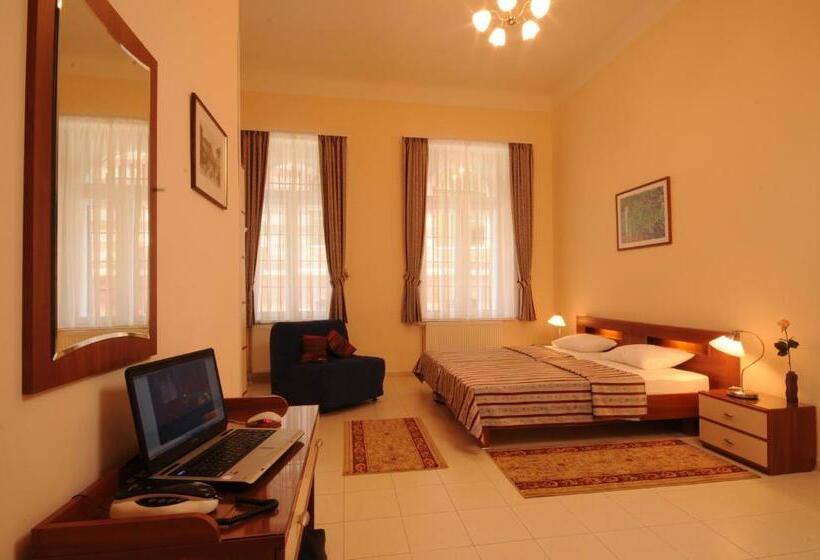 酒店 Budapest Museum Central