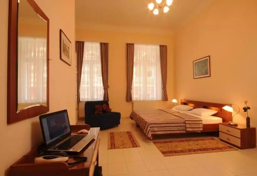 酒店 Budapest Museum Central