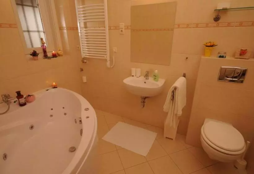 酒店 Budapest Museum Central