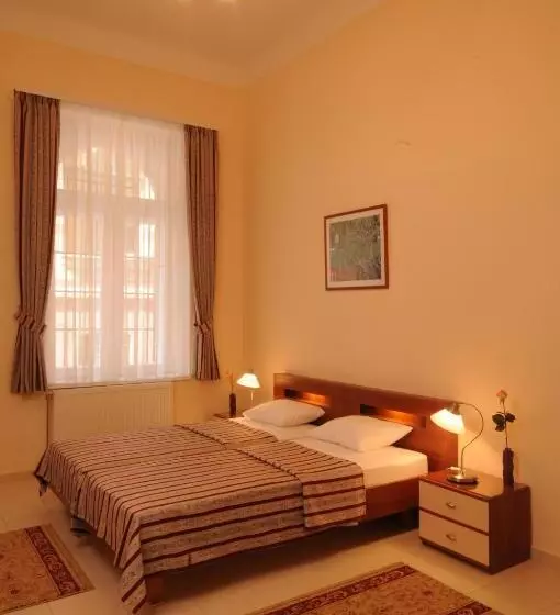 酒店 Budapest Museum Central