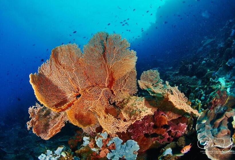 فندق Cocotinos Manado