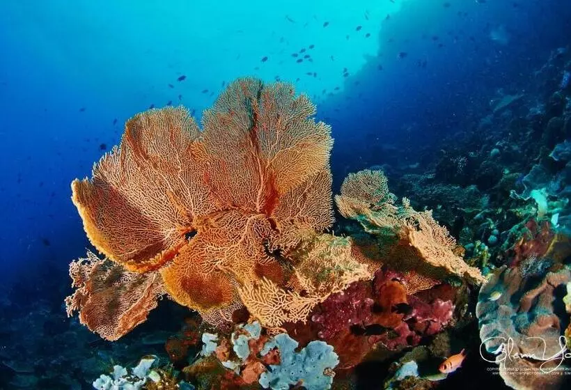 ホテル Cocotinos Manado