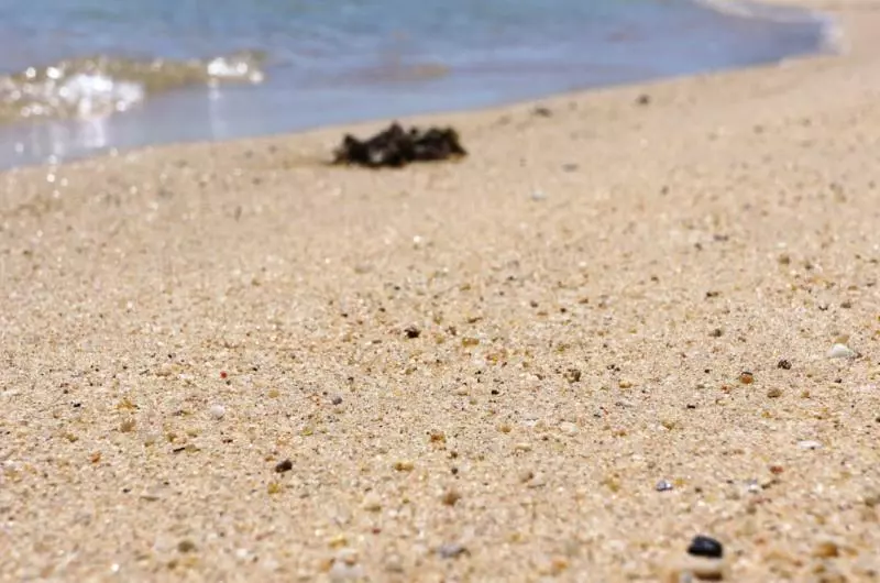 Panalee Koh Samui Resort