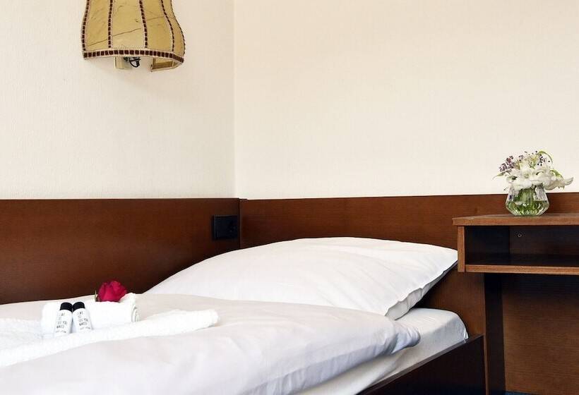 Отель Goldene Rose