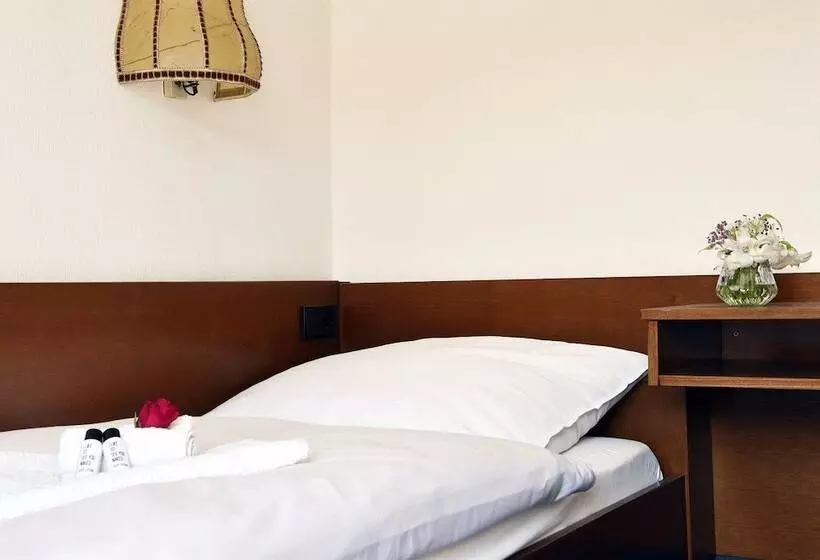 Hotelli Goldene Rose