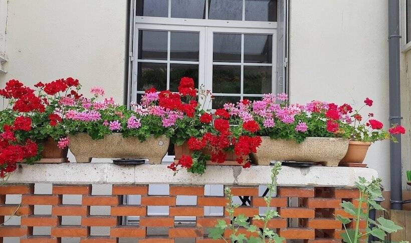 ペンション La Miramboise, Chambres Et Table D Hôtes