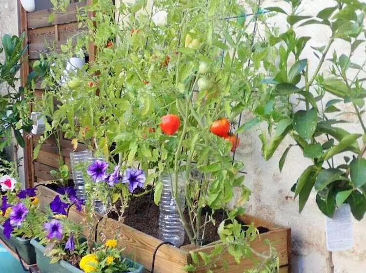 Majatalo La Miramboise, Chambres Et Table D Hôtes