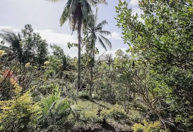 Majatalo Penida Lapaya Garden