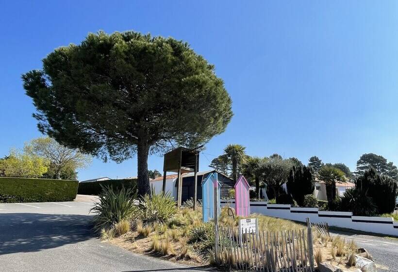 ホテル Camping Les Brillas