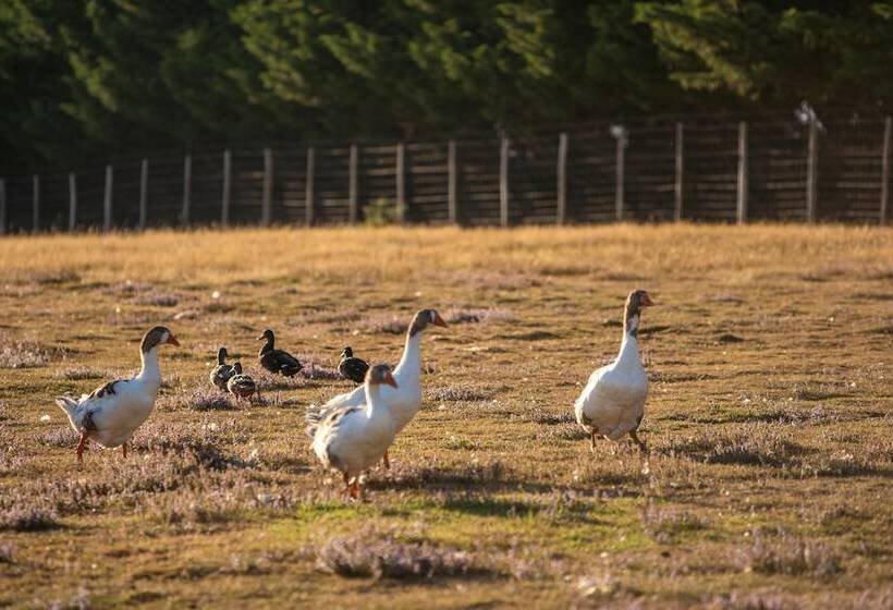 ホテル Camping Les Brillas