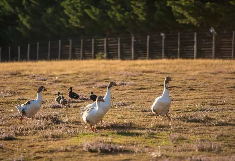 Hotelli Camping Les Brillas