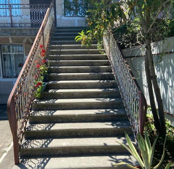 پانسیون у риты