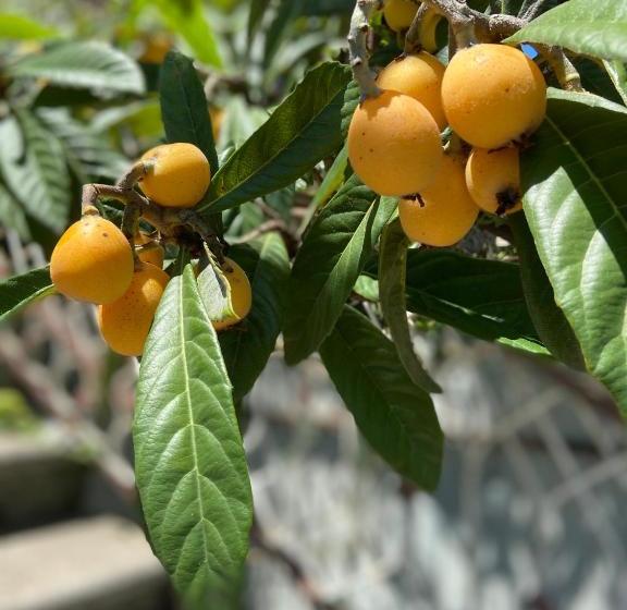 پانسیون у риты