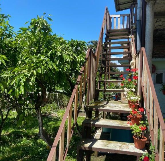 پانسیون у риты