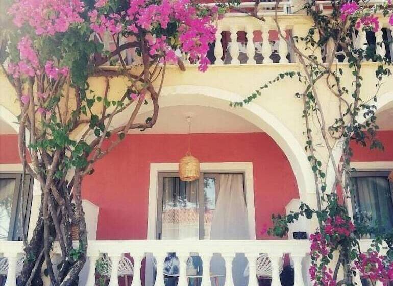 پانسیون Nomas Living