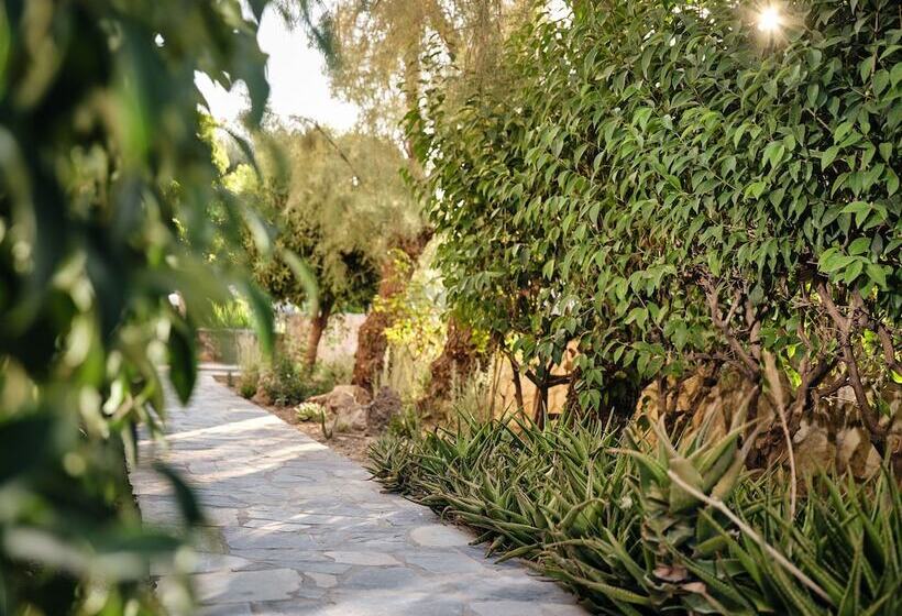 پانسیون Nomas Living