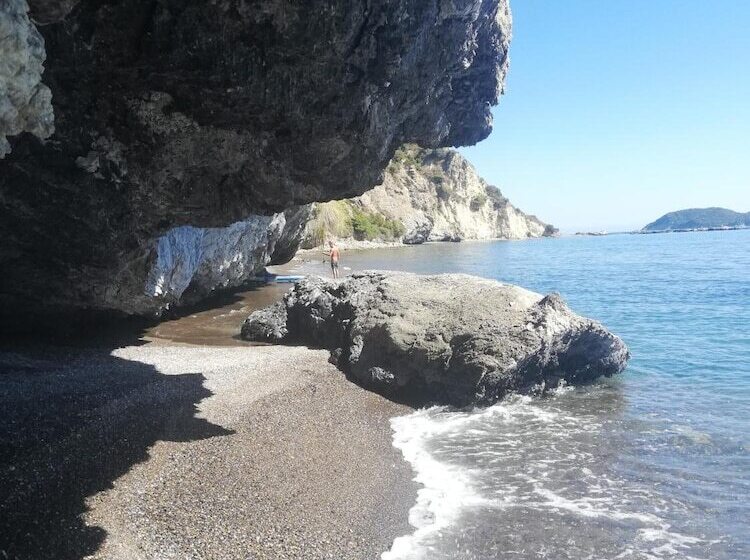 پانسیون Nomas Living