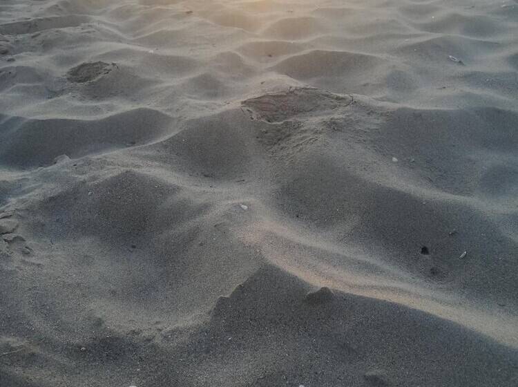 پانسیون Nomas Living