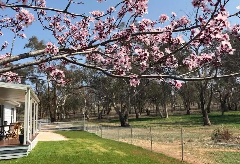 ベッドアンドブレックファースト Rosewood Cottage