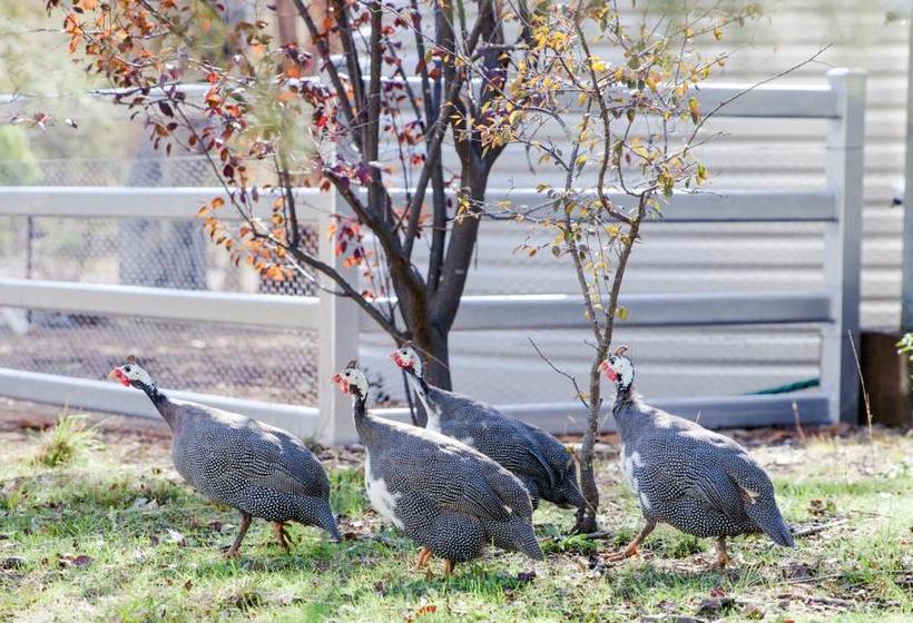 住宿加早餐 Rosewood Cottage