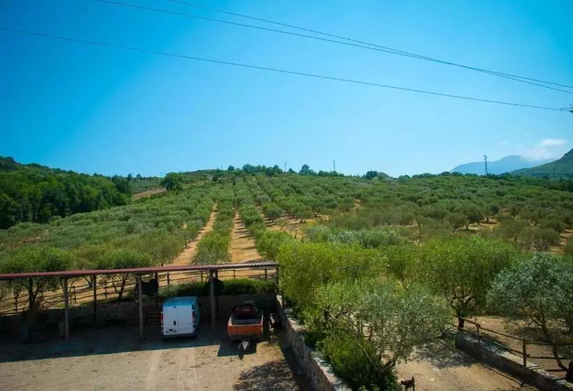 ホテル Agriturismo Civitella