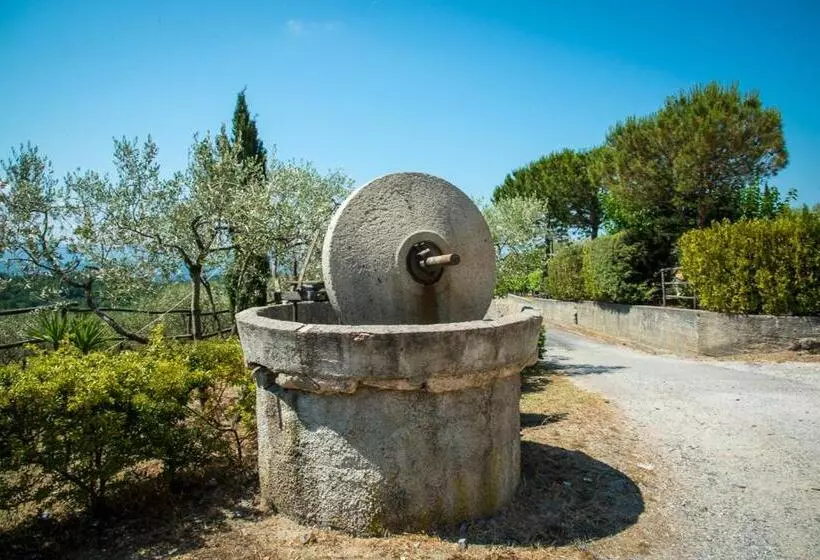 ホテル Agriturismo Civitella