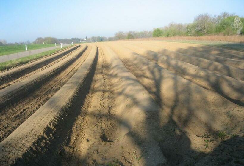 Hotel Gasthof Bogenrieder