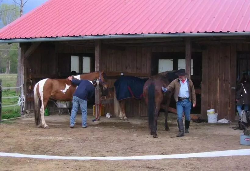 Hotelli Gasthof Bogenrieder