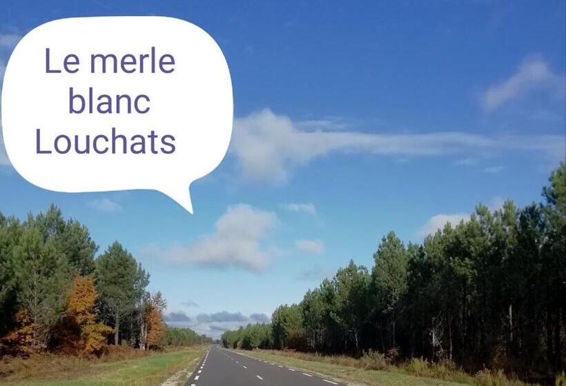 Отель Le Merle Blanc Louchats