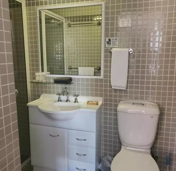 ホテル Roydons Motor Inn