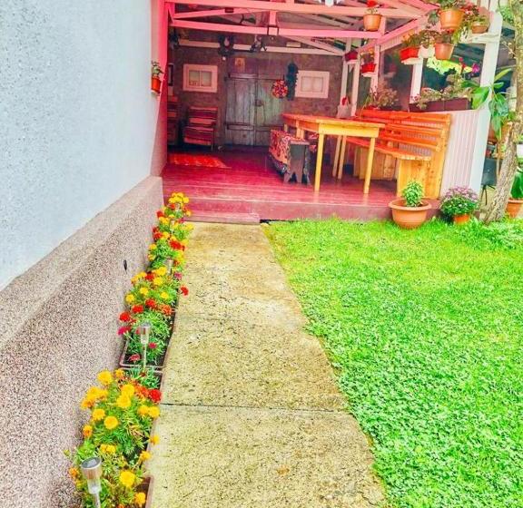 ペンション Casa Craciun