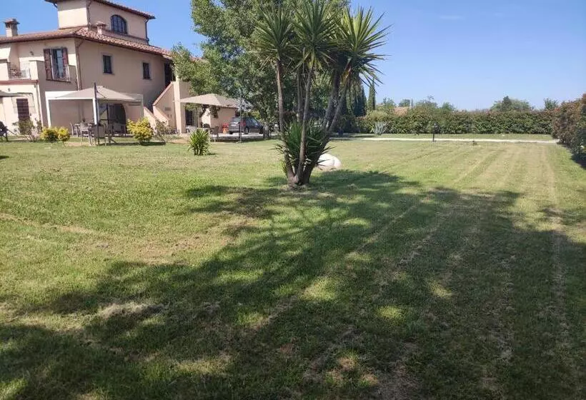 تختخواب و صبحانه Il Casale Di David