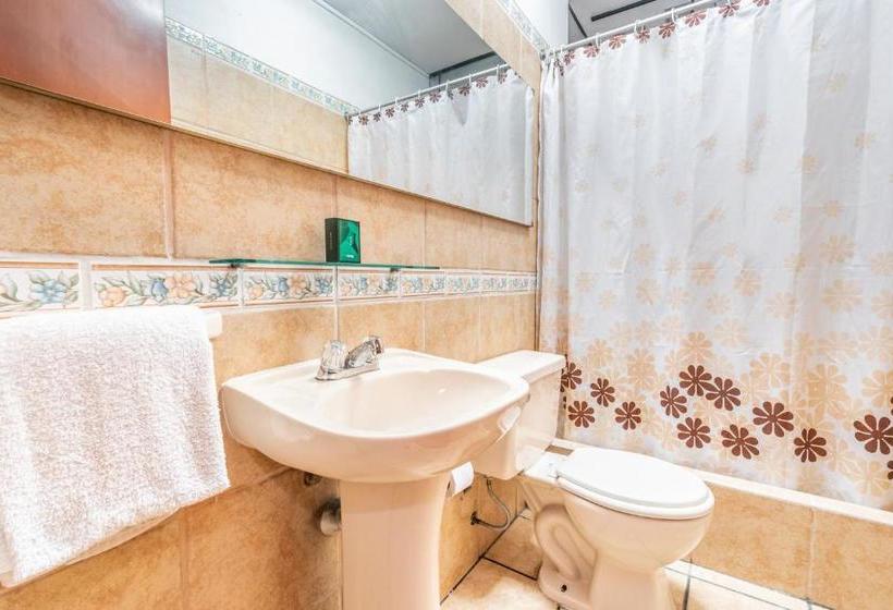 ホテル Ayenda Jankanoo Inn