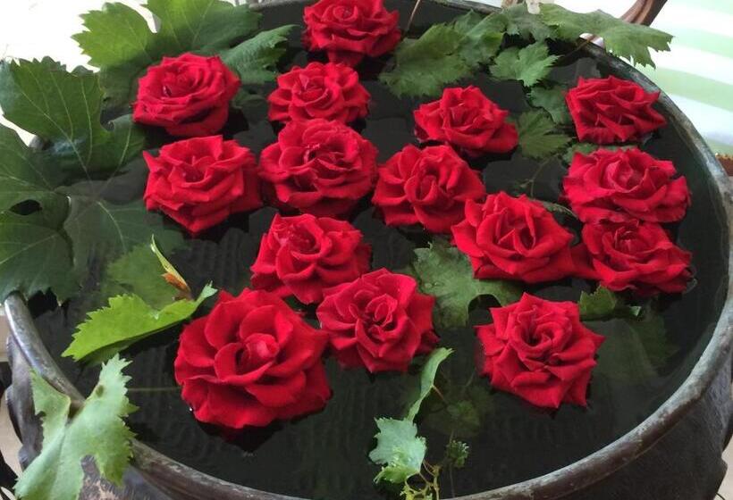 酒店 Eveline 2 Piscina Privata O Jacuzzi