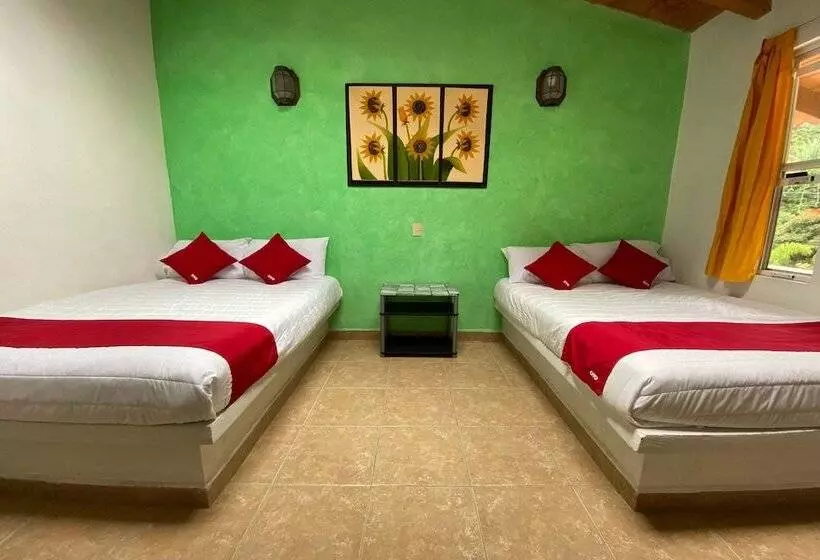 Hotelli Horizonte Valle De Bravo