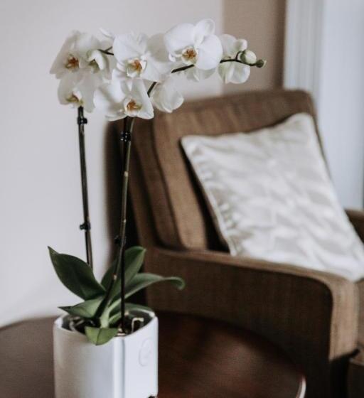 Hotelli Willa Sepia Spa