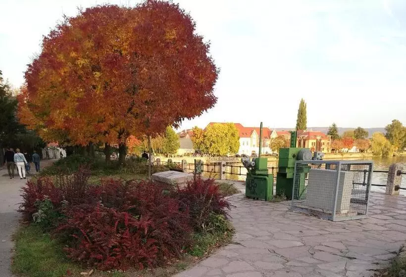 Aamiaismajoitus (B&B) Panzió Tata