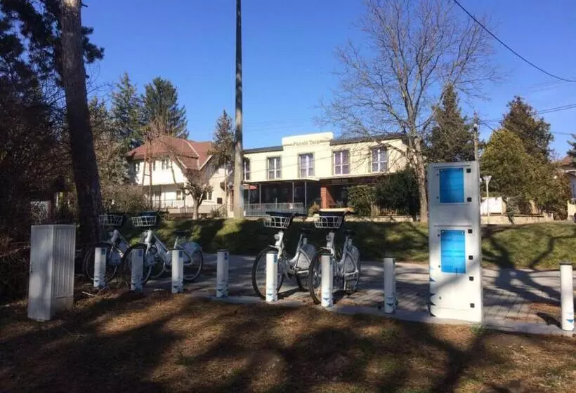 Aamiaismajoitus (B&B) Panzió Tata