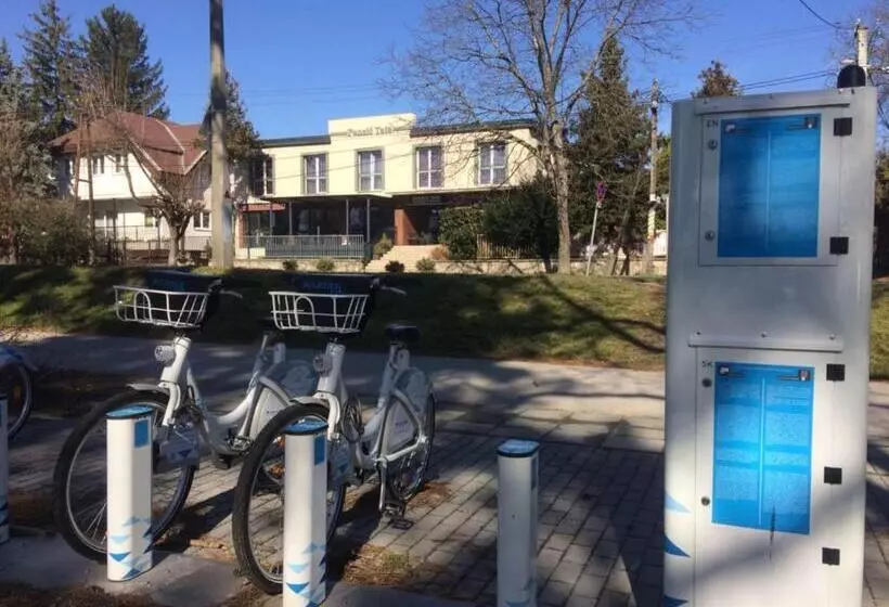 Aamiaismajoitus (B&B) Panzió Tata