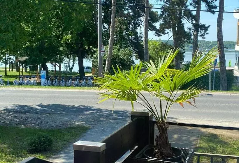 Aamiaismajoitus (B&B) Panzió Tata