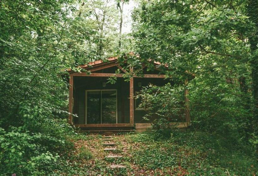 리조트 Lacs 3p 4 Pers