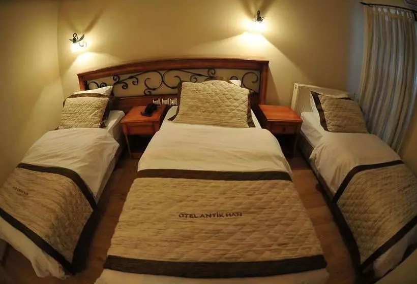 בית מלון כפרי Antikhan