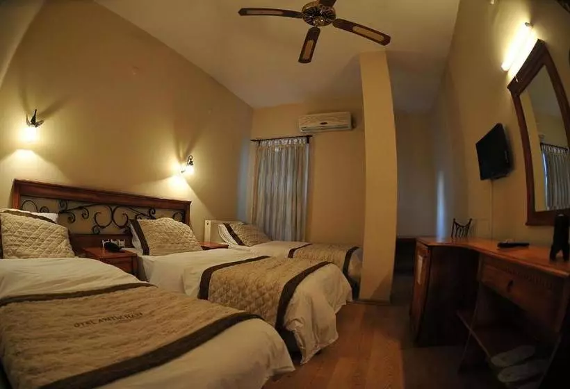 בית מלון כפרי Antikhan