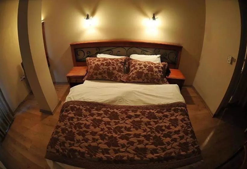 בית מלון כפרי Antikhan