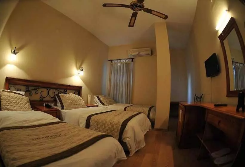 בית מלון כפרי Antikhan