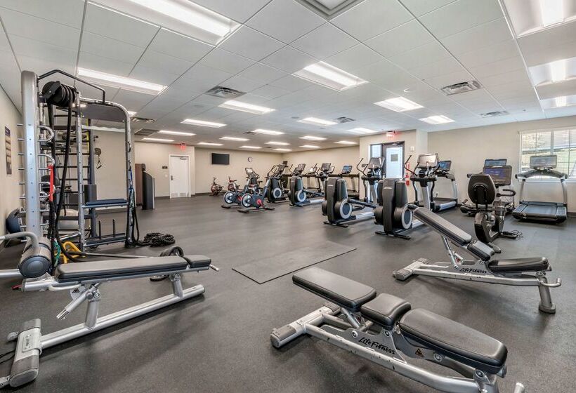 בית מלון כפרי Hilton Vacation Club Mystic Dunes Orlando