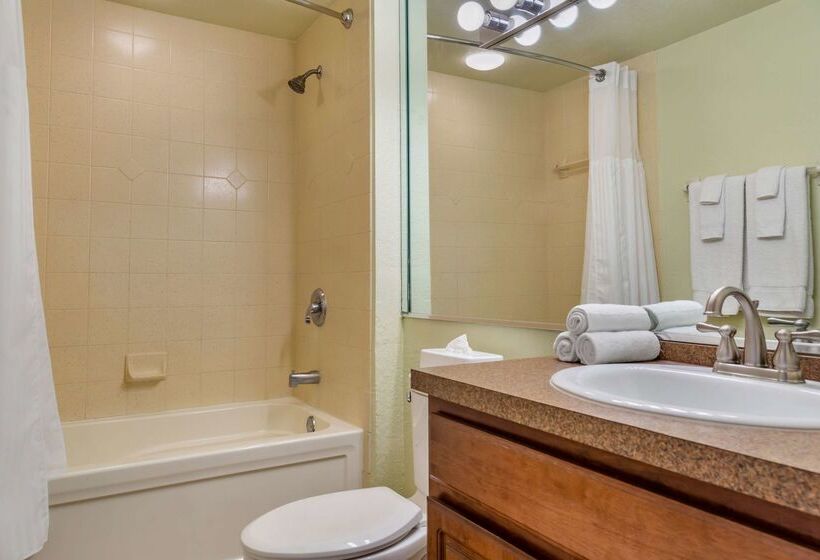 בית מלון כפרי Hilton Vacation Club Mystic Dunes Orlando