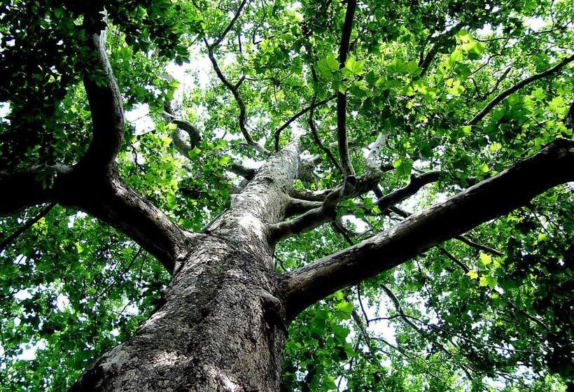 酒店 Landgasthof Kirchmayer