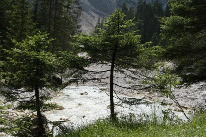 酒店 Landgasthof Kirchmayer