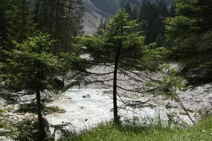 Отель Landgasthof Kirchmayer